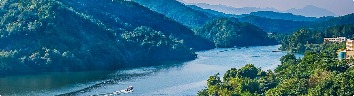 Zijin Mining Landscape